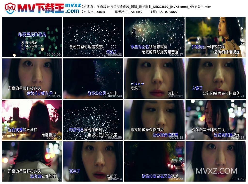 岑晓路-昨夜星辰昨夜风_国语_流行歌曲_MB202870